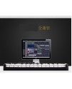 WORLDE PANDA MINI controller midi25